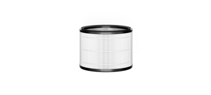 DYSON evo angl. filtras 972425-01