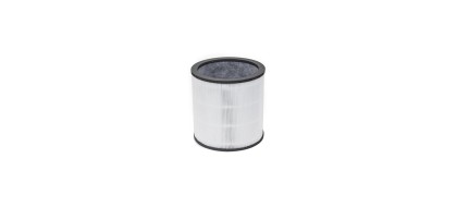 DYSON TP00, TP02 Evo anglies filtras 972426-01
