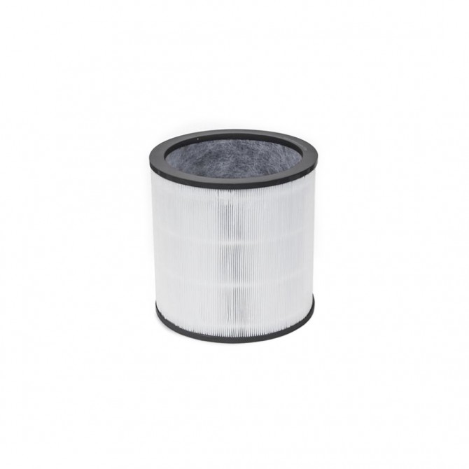 DYSON TP00, TP02 Evo anglies filtras 972426-01