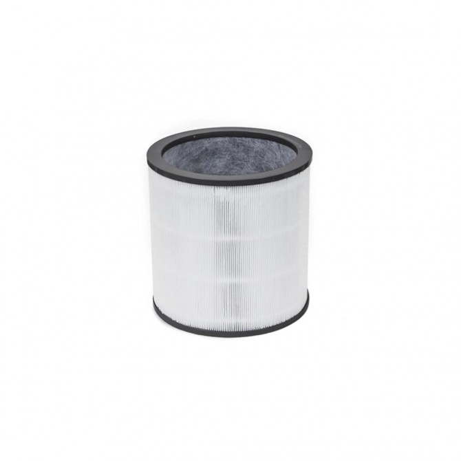 DYSON TP00, TP02 Evo anglies filtras 972426-01