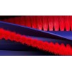 Dyson R1 Nurovi™ Dry dulkių siurblys robotas Sv/VnBu
