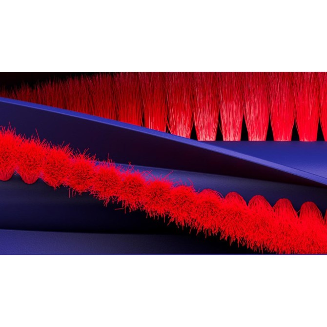 Dyson R1 Nurovi™ Dry dulkių siurblys robotas Sv/VnBu