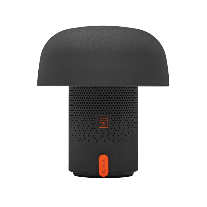 SOUND BY JBL Sensa Play kolonėlė/šviestuvas su JBL garso sistema, Anthracite