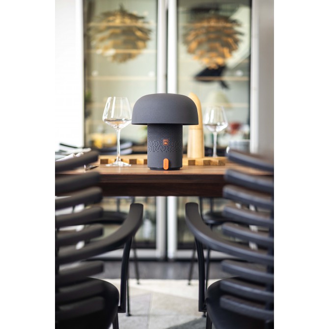 SOUND BY JBL Sensa Play kolonėlė/šviestuvas su JBL garso sistema, Anthracite