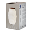 SOUND BY JBL Synergy 50 garso kolonėlė, LED šviestuvas, vyno šaldytuvas