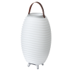 SOUND BY JBL Synergy 50 garso kolonėlė, LED šviestuvas, vyno šaldytuvas