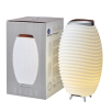 SOUND BY JBL Synergy 65 garso kolonėlė, LED šviestuvas, vyno šaldytuvas
