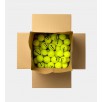 Slinger Dunlop Fort Xtra Life P/less, 72 ball box
