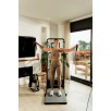 SPEEDIANCE Gym Monster 2 Family PLUS package treniruoklis