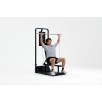 SPEEDIANCE Gym Monster 2 Works PLUS package treniruoklis