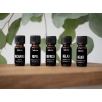 STADLER FORM eterinis aliejus Relax, 10 ml